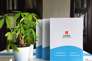 企業(yè)畫冊(cè)設(shè)計(jì)怎么做？畫冊(cè)制作的通用方法思考